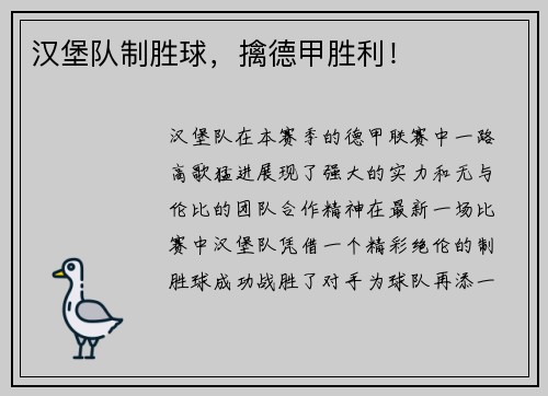汉堡队制胜球，擒德甲胜利！